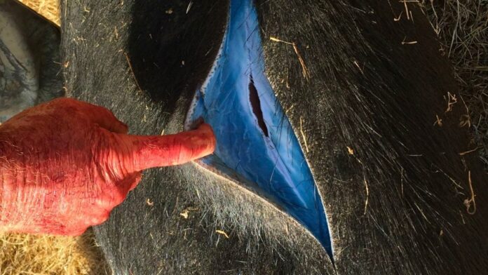 230f818d-afa4-4a04-9079-c8b31dede99b