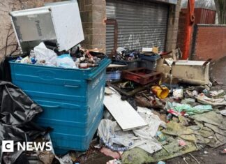 Агентство по Окружающей Среде Получит Полицейские Полномочия для Борьбы с Незаконным Вывозом Мусора