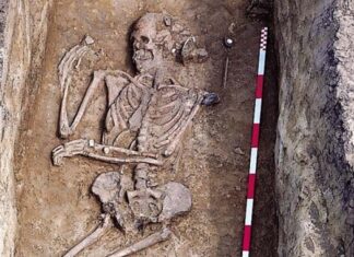 Un entierro en la Edad de Piedra revela roles de género fluidos en la antigua Hungría
