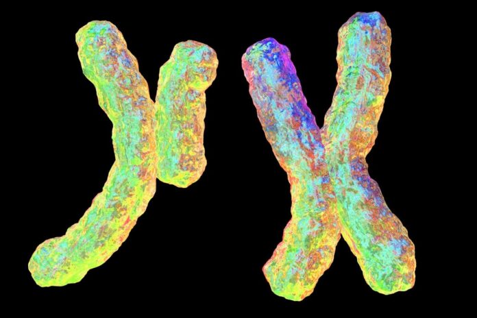 438df469-9a14-48ae-af3c-9a7520c8c986