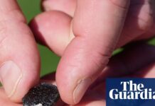 Метеорит пробив дах будинку у Х’юстоні, підтверджено NASA