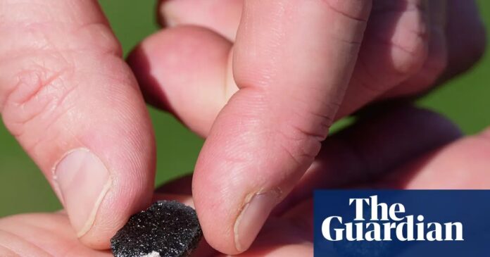 7459d776-7dde-47b5-aedd-f9cc550e783e