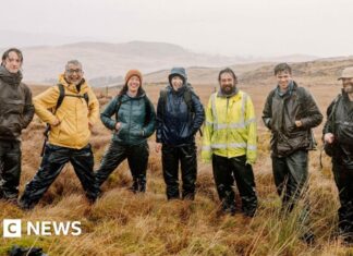 Les réseaux fongiques sont la clé d’une création forestière réussie en Angleterre