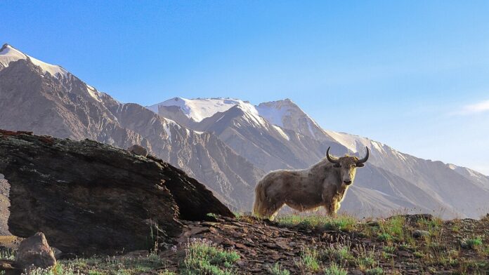 87d2b25f-f982-4cec-8d66-b754a7fed739