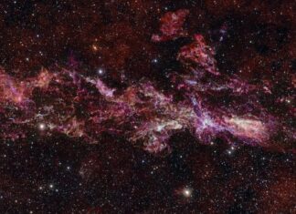 Mystère du noyau galactique : une nouvelle image de radiotélescope révèle la naissance lente d’une étoile dans le cœur de la Voie lactée