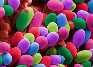 Psychedelika zeigen bei der Behandlung von Depressionen keinen klaren Vorteil gegenüber Antidepressiva