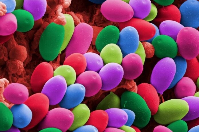 a3a9a45f-6d52-479d-9ba1-8bb1a0fcf415