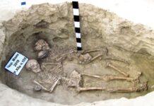 1900-річна скіфська могила розкриває використання токсичного мінералу ртуті