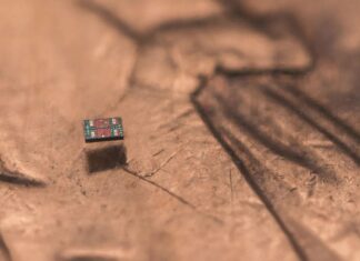 Mikroskopičtí roboti: Budoucnost medicíny a dál