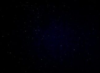 Reuni Tak Terduga di Antartika: Penemuan Seorang Putra