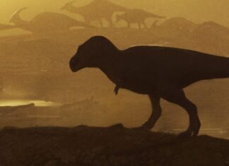 Largest Known Tyrannosaur Ancestor Discovered in New Mexico