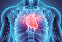 З’єднання граната може допомогти захистити від хвороб серця