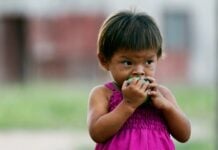 Зростання температур загрожує перекреслити десятиліття прогресу харчування дітей