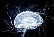 Poderia impulsionar o “sistema de limpeza” do cérebro ser a chave para um novo alívio da enxaqueca?