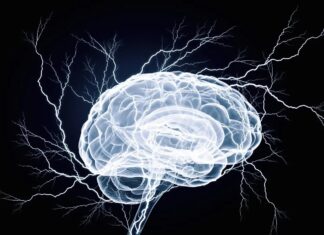 Könnte die Stärkung des „Reinigungssystems“ des Gehirns der Schlüssel zu einer neuen Linderung der Migräne sein?