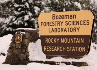 Лісова Служба США Проводить Реструктуризацію Досліджень, Закриває Десятки Станцій