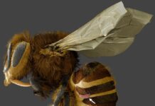 Популяція каліфорнійських гібридних медоносних бджіл розвинула природний захист від кліщів варроа: дослідження