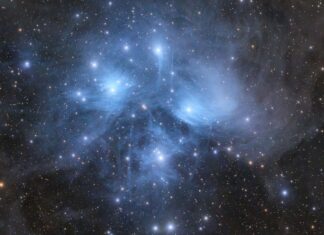 Le sette sorelle svelate: l’astrofotografo cattura il velo blu spettrale delle Pleiadi