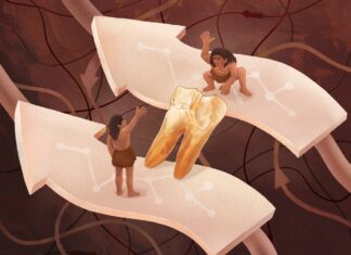 Ancient Proteins Reveal Hidden Genetic Ties Between Homo Erectus and Modern Humans