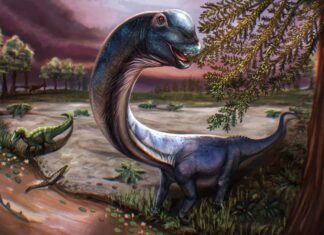 Ostatni Tytan: Odkrycie dinozaurów na dużą skalę w Tajlandii
