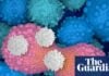 CAR T-Cell Therapy: From Niche Blood Cancer Cure to a ‘Living Drug’ for All Cancers