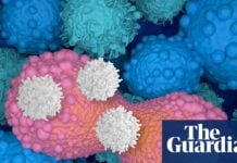 CAR T-Cell Therapy: From Niche Blood Cancer Cure to a ‘Living Drug’ for All Cancers