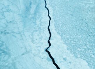 Ocean Earthquakes That Run Like Clockwork