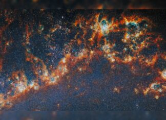 JWST Mengungkap Inti Kelahiran Bintang di Galaksi Pusaran Air