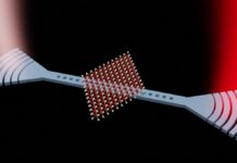 Les photons sont les nouveaux électrons (pour l’IA, au moins)
