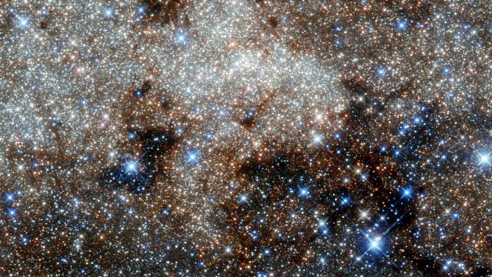 5a2506c0-3840-4952-bd7d-795611ff67d8