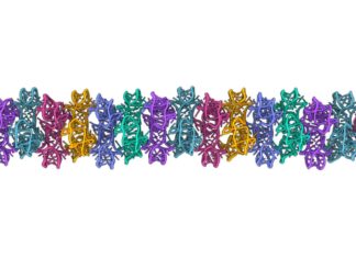 Wie RNA komplexe Filamente und Käfige bildete, stellt die RNA-Welttheorie in Frage