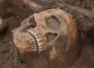 Il ritrovamento sull’altare rituale di Tula suggerisce sacrifici di decapitazione prima degli Aztechi