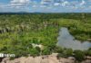Pożary Amazona w 2025 r.: co mówią nowe dane