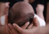 Як материнські клітини з утроби виживають у тілі людини десятиліттями
