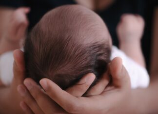 Jak mateřské buňky z dělohy přežívají v lidském těle desítky let