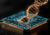 Chip Silikon Berbasis Air Harvard Menulis Ulang Sintesis DNA