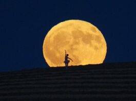 Juli 2026 Buck Moon 2029: Die besten Fotos aus aller Welt